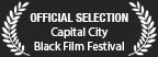 Cass the film by Hugh Schultze is an Official Selection of the Capital City Black Film Festival